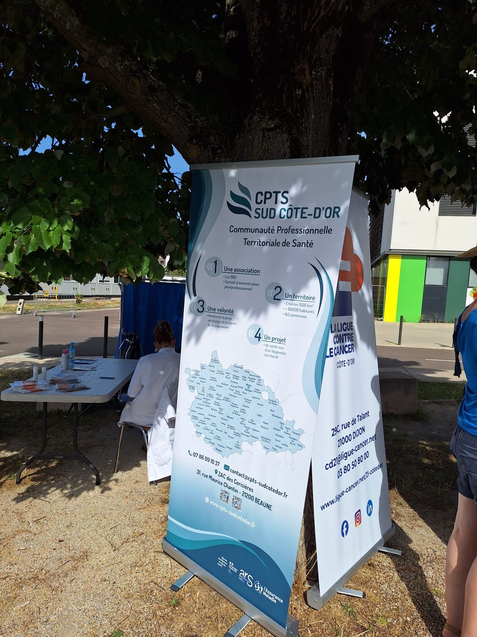 Juine Jaune Hospices civils de Beaune 2025