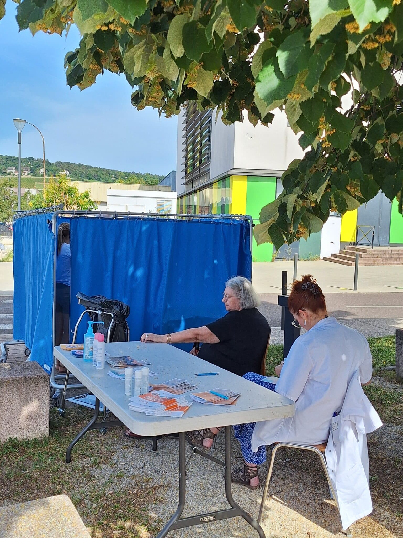 Juine Jaune Hospices civils de Beaune 2025