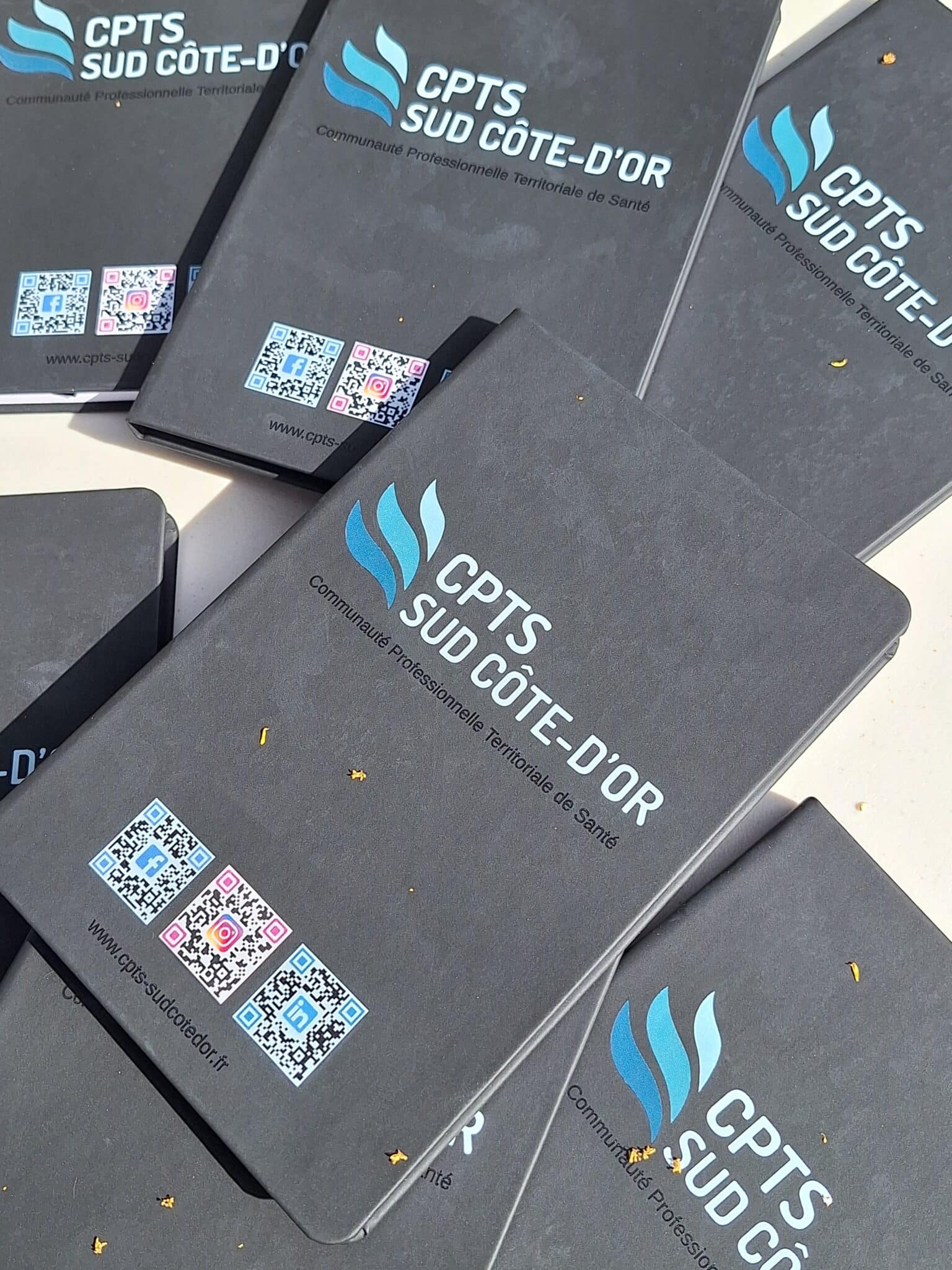 Juine Jaune Hospices civils de Beaune 2025