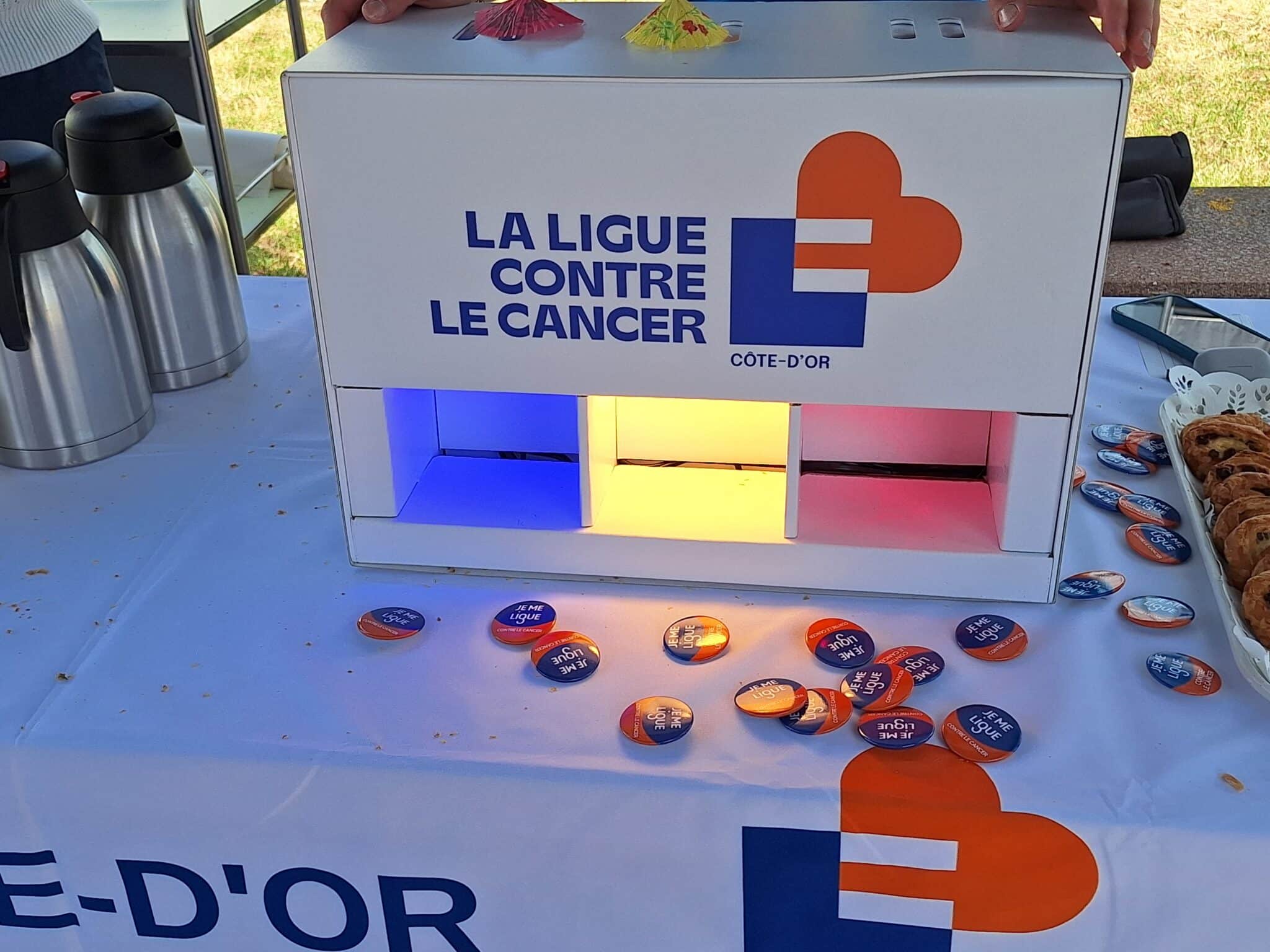 Juine Jaune Hospices civils de Beaune 2025